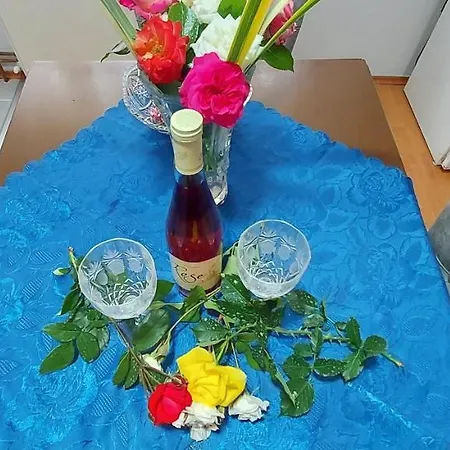 Dunavski Raj Penzion 3*