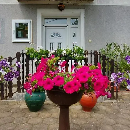 Dunavski Raj Penzion 3*