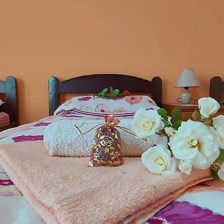 Dunavski Raj Penzion 3*