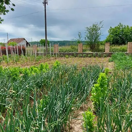 Penzion Dunavski Raj