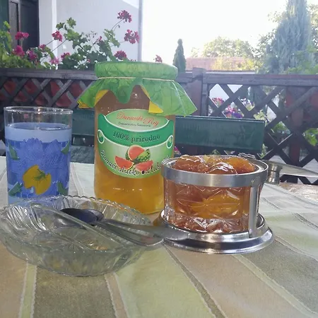 Dunavski Raj Πανσιόν Kostol