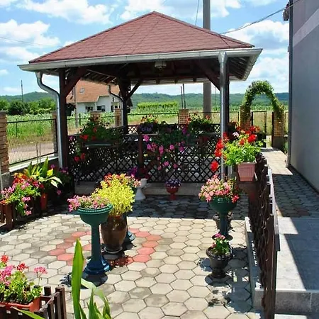 Penzion Dunavski Raj Kostol